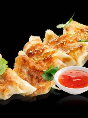 Gyoza Quinoa Vegan (5 Stück)